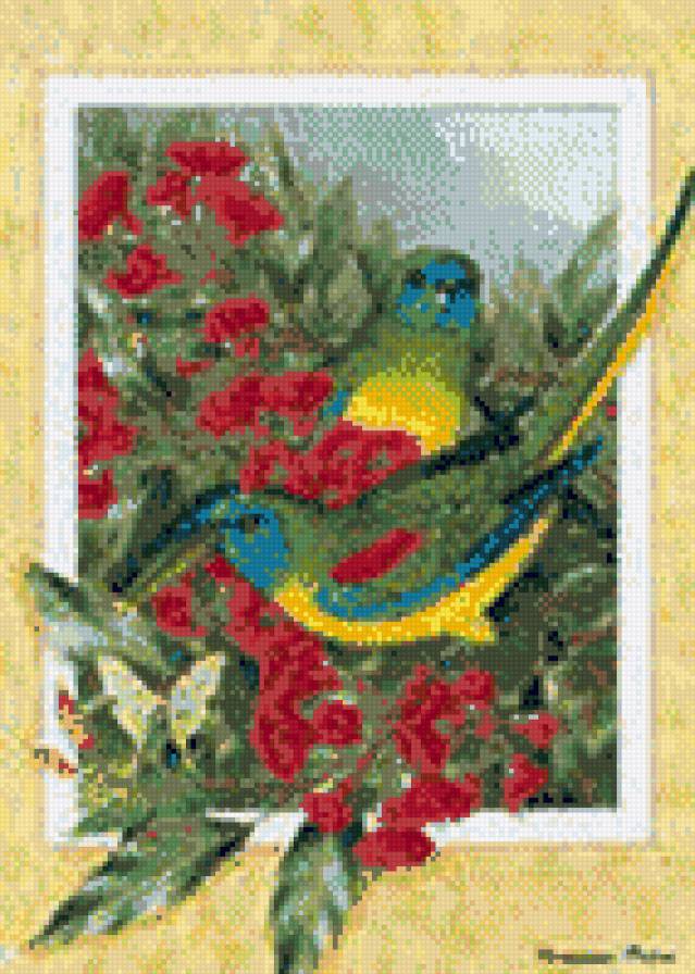 райские птицы - птицы - предпросмотр