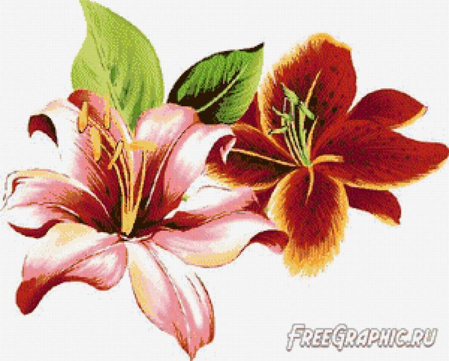 лилии - цветы - предпросмотр