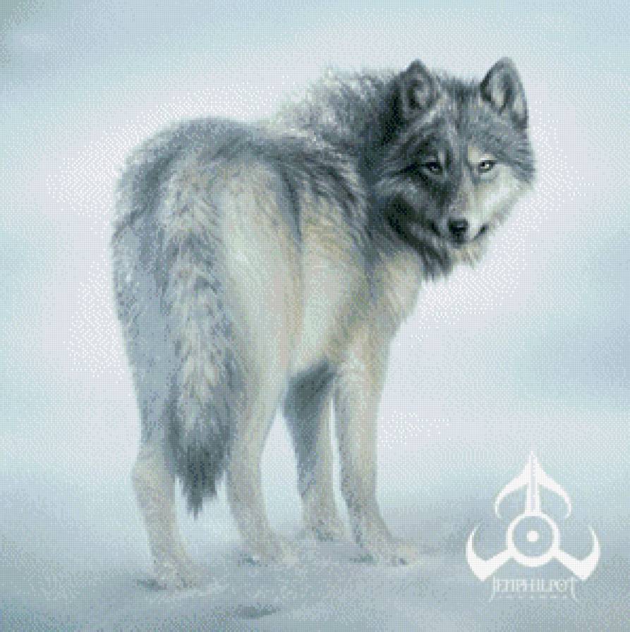 волк - снег, природа, зима, дикие животные, волк, хищник - предпросмотр