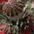 Предпросмотр схемы вышивки «мак» (№533229)