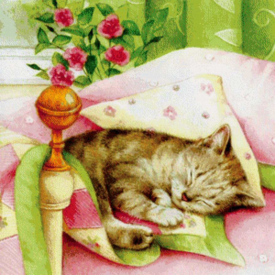 тишина - милашка, котенок, постель, букет, лапушка, роза, кот, цветы, детское, сон - предпросмотр