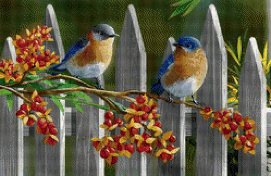 птички на веточке - синичка, серия птицы, веточка, воробей, птичка, природа, снегирь - предпросмотр