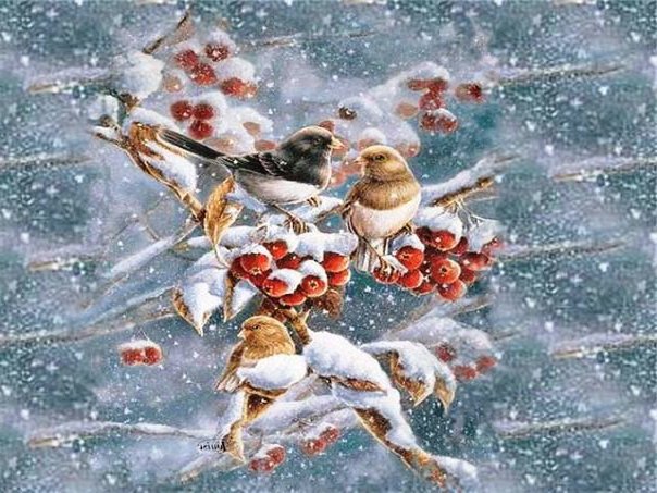 птички на ветке рябины - снег, птицы, веточка, рябина, зимородки, синички, зима, снегири - оригинал