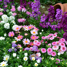 Схема вышивки «цветочки»