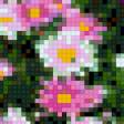 Предпросмотр схемы вышивки «цветочки» (№533405)