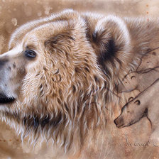 Оригинал схемы вышивки «медведь Sandi Baker» (№533463)