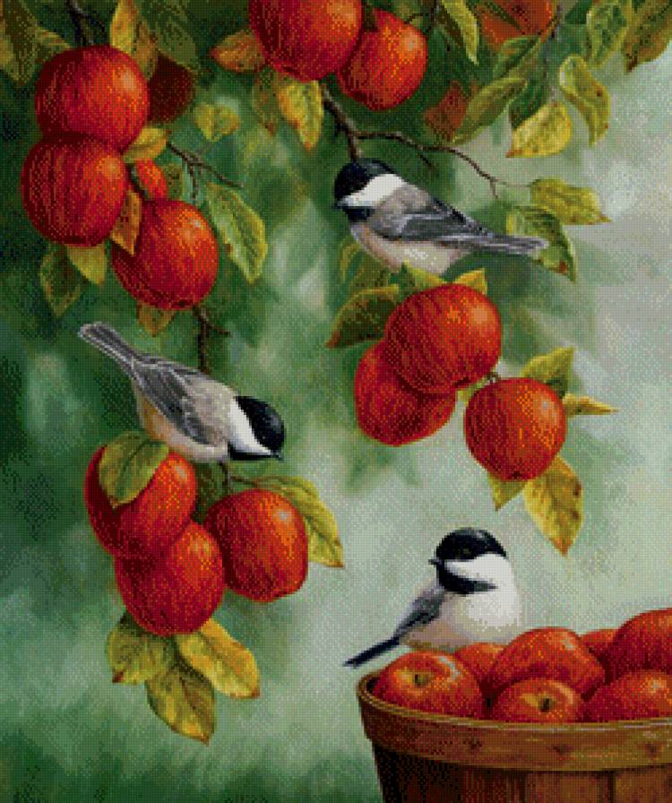 синички на яблоках - яблоки, серия птицы, яблоня, корзинка, природа, птички, синички - предпросмотр