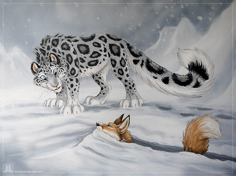 Барс и Лисица - снежный барс, большие кошки, животные, лиса, арт - оригинал
