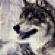 Предпросмотр схемы вышивки «Серия "Волки"» (№534005)