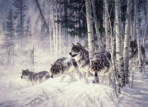 Серия "Волки" - волки, снег, животные, зима, пейзаж - оригинал