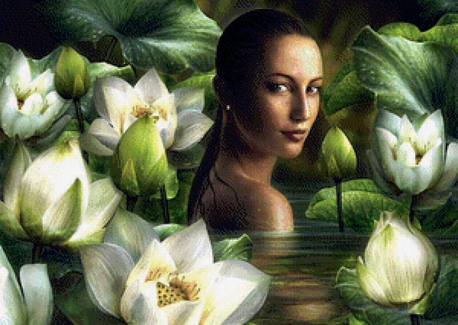 Девушка в лотосах - девушка, цветы, лотосы, картина - предпросмотр