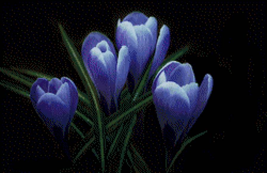 цвети - предпросмотр