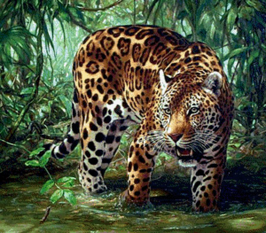 Леопард - хищники, животные, леопарды - предпросмотр