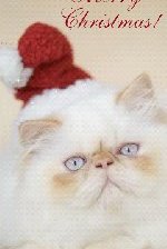 Схема вышивки «рождественский кот»