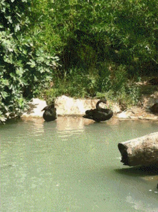 серия "птицы" - пейзад.лебеди.река - предпросмотр