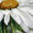 Предпросмотр схемы вышивки «№534598»