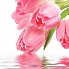 Схема вышивки «тюльпаны»