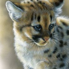 Схема вышивки «котенок»