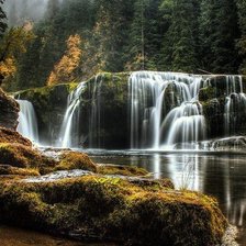 Схема вышивки «Тайга»