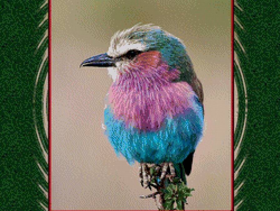 тропическая птичка - снегирь, воробей, синичка, птичка, веточка, природа, серия птицы - предпросмотр