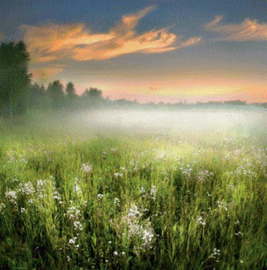 Рождение облака. - природа, туман, рассвет - предпросмотр