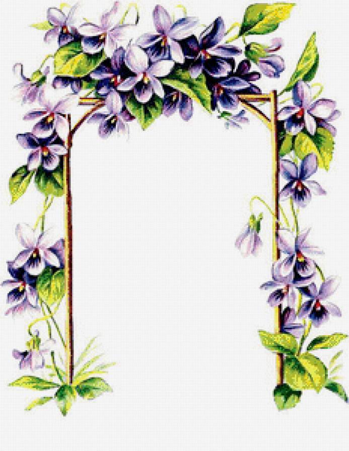 Рамка. Фиалки. - фиалки, цветы, рамка - предпросмотр