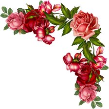Схема вышивки «уголок розовые розы»