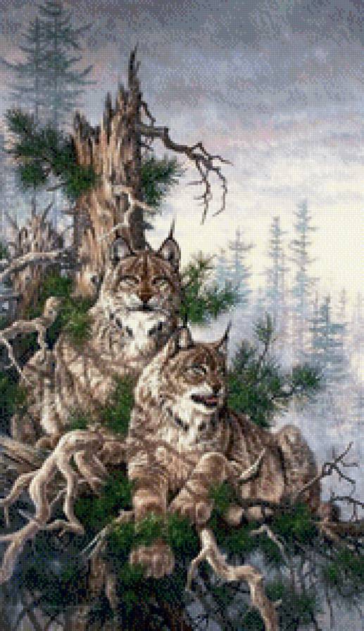 хищники - река, лес, дикие кошки, горы, рысь, сосна, хищники - предпросмотр