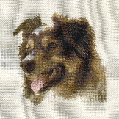 кавказец - собаки - оригинал