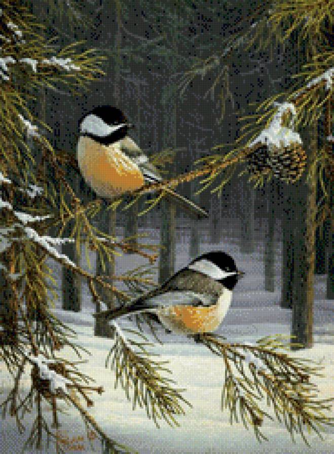 №535252 - предпросмотр