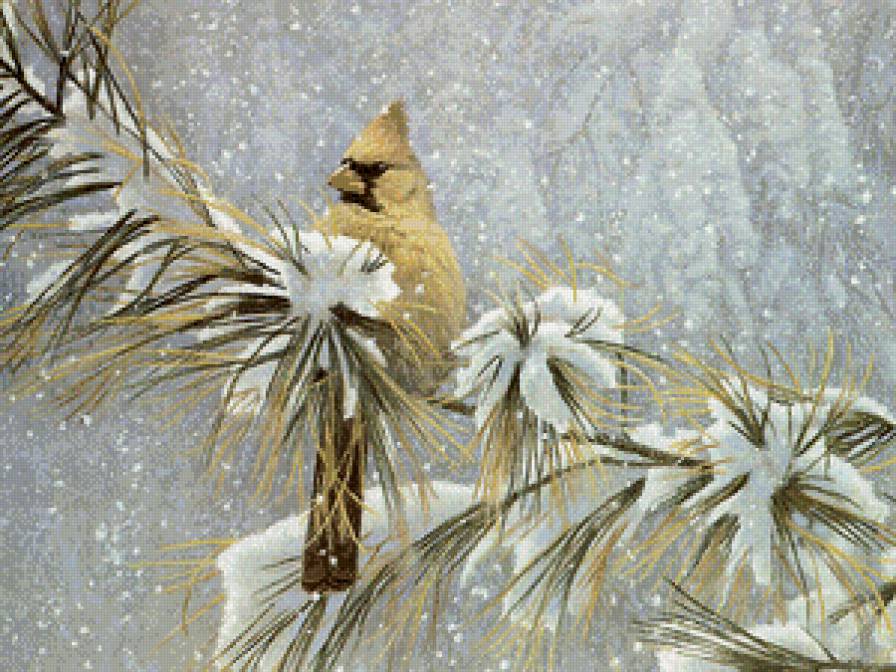 зимородок на ветке кедра - сосна, воробей, синичка, птичка, серия птицы, зимородок, снегирь - предпросмотр
