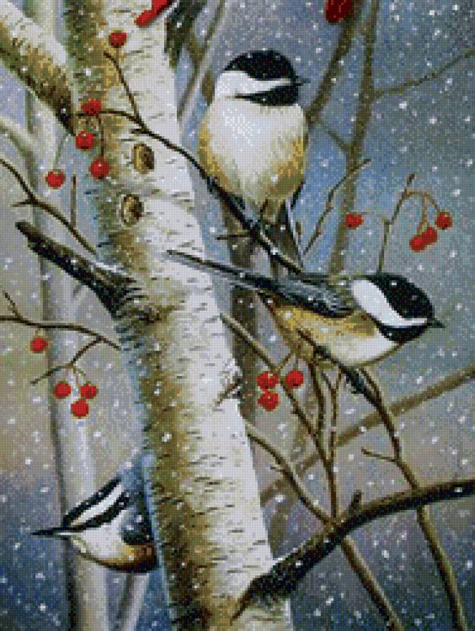 №535282 - птицы, зима, животные - предпросмотр