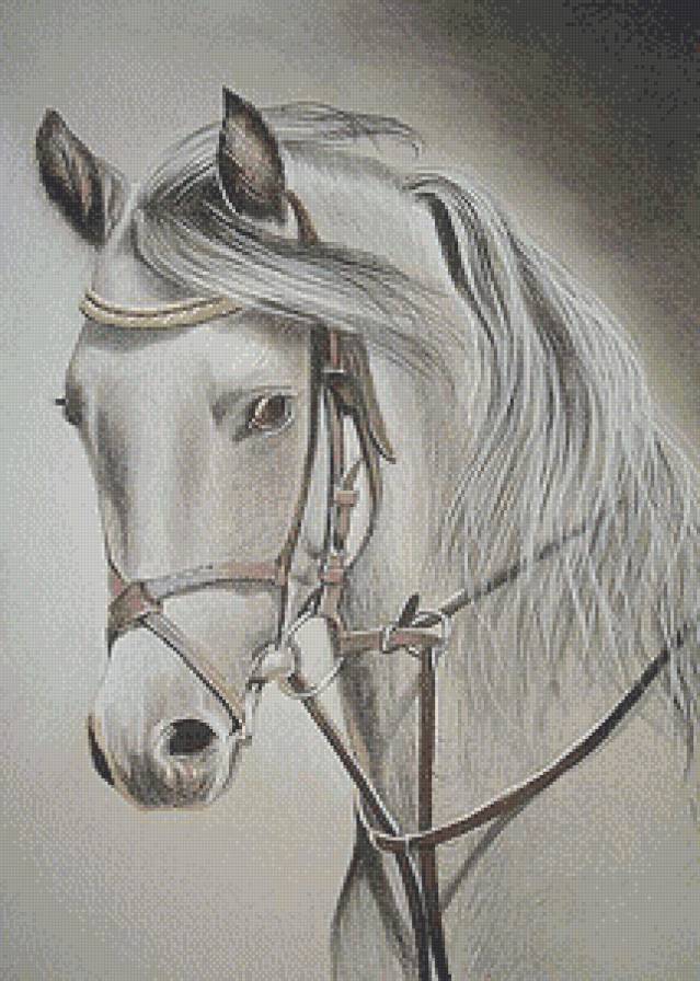 Лошадка-символ года - живопись, монохром, животные, лошади - предпросмотр