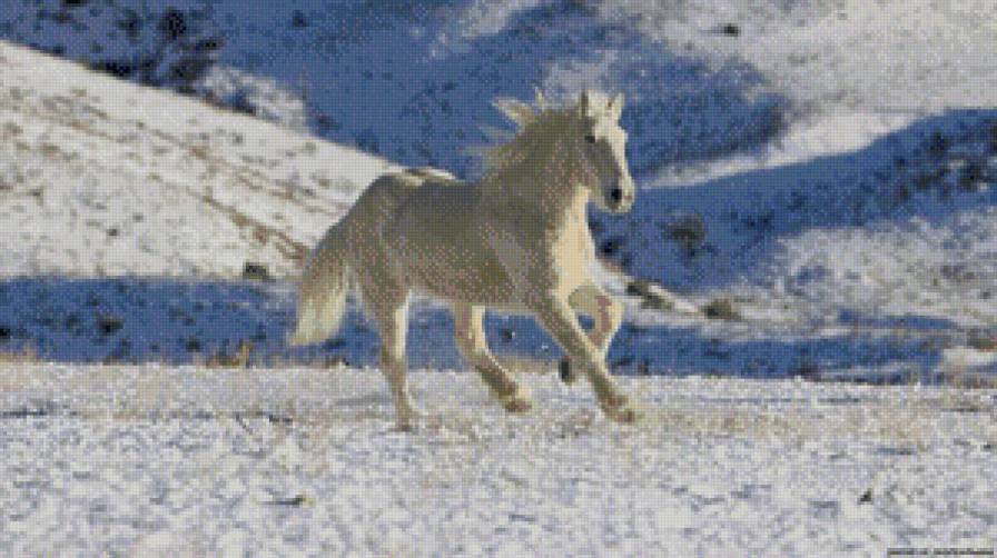 Белая лошадь - зима, лошадь - предпросмотр