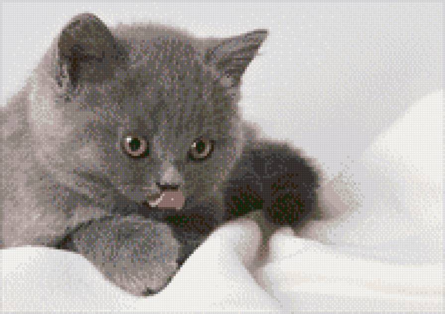 киса - предпросмотр