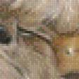 Предпросмотр схемы вышивки «хищные кошки» (№535428)