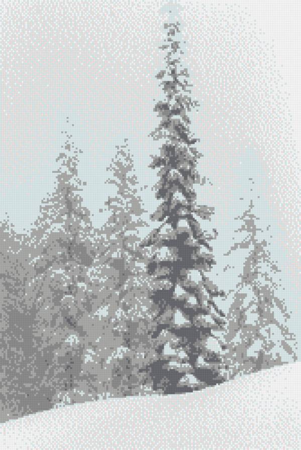 Заснеженные ели - монохромное, снег, зима, ель, серый - предпросмотр