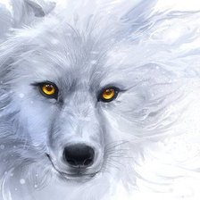 Оригинал схемы вышивки «Белый волк» (№535537)