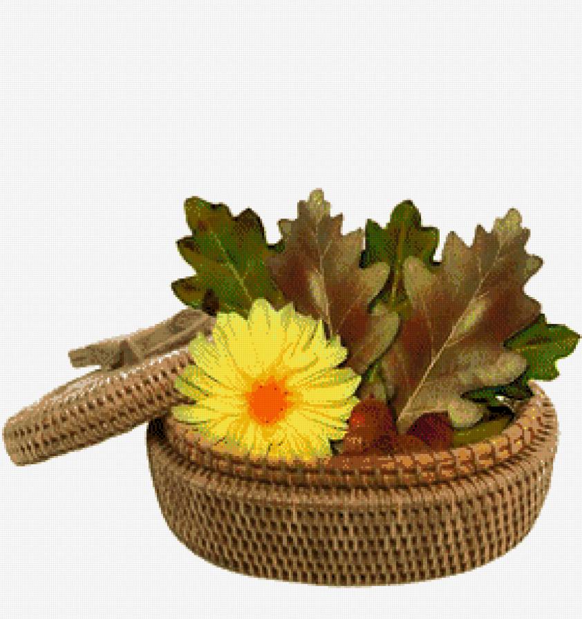 №535609 - цветы - предпросмотр