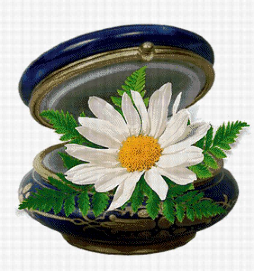 №535618 - цветы - предпросмотр