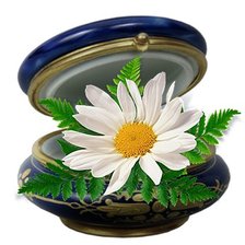 Схема вышивки «№535618»