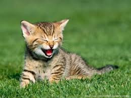 радость - оригинал