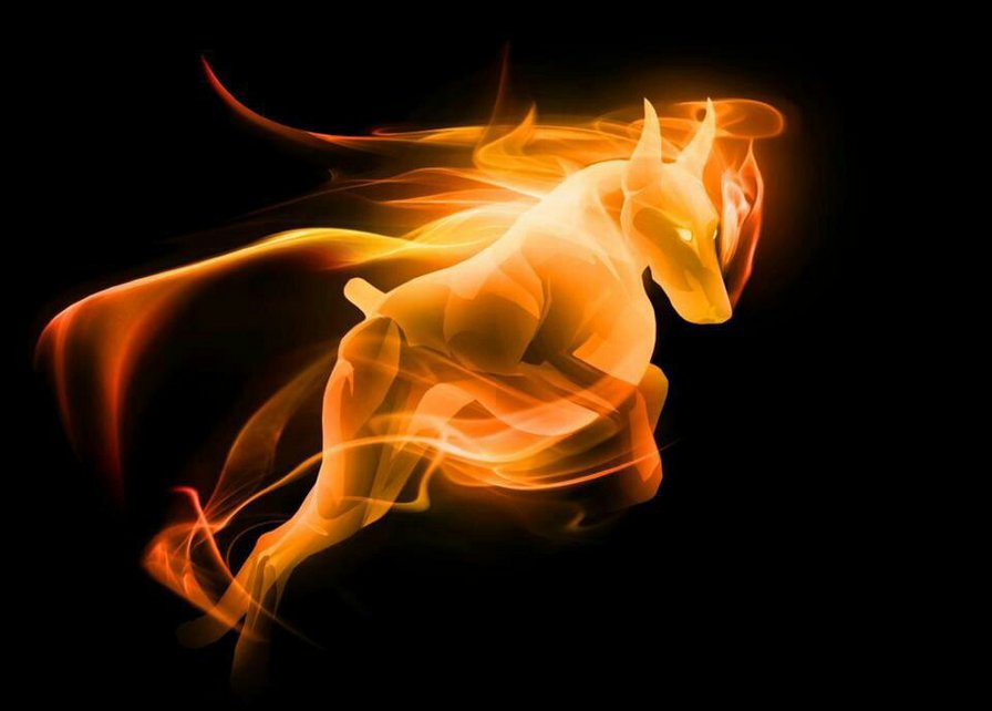 доберман - доберман, собаки - оригинал