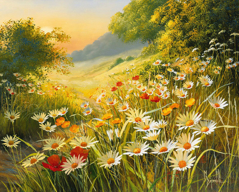 ромашковое поле - родные просторы - оригинал