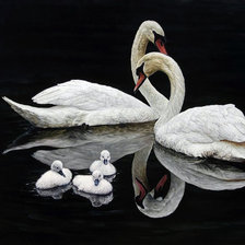 Схема вышивки «семья лебедей»