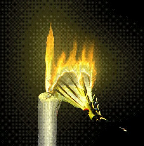 Свеча - пламя, свеча, огонь - оригинал
