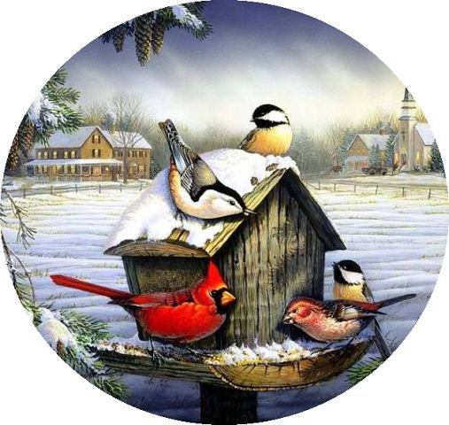 Скворечник - зима, село, птицы - оригинал