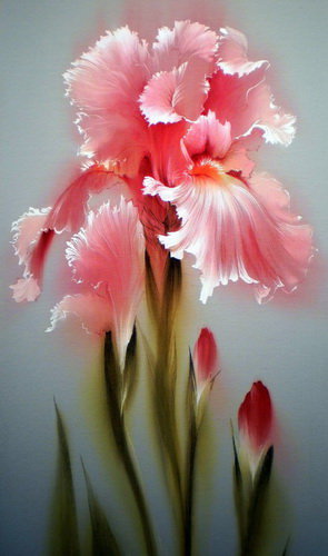 №535954 - цветы - оригинал