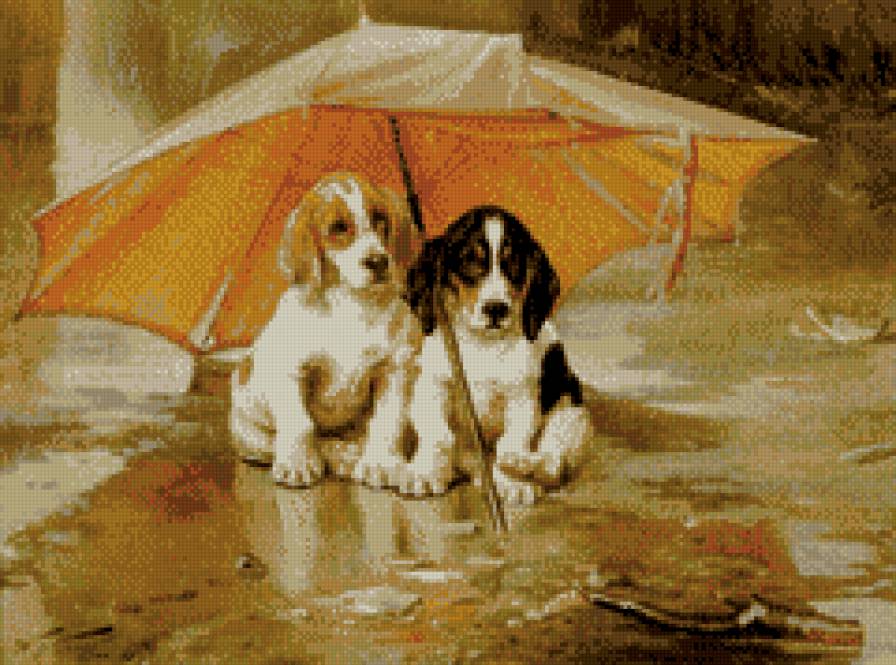 потеряшки - предпросмотр