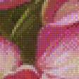 Предпросмотр схемы вышивки «весенние цветы» (№535986)
